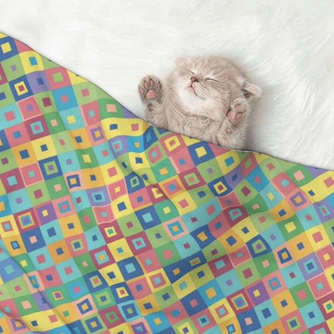Double Sided Plush Pet Blanket with Cozy Dot Texture and Smooth Reverse, Rainbow Diagonal Plaid, Reversible Throw for Dogs Cats on Couches Beds Crates