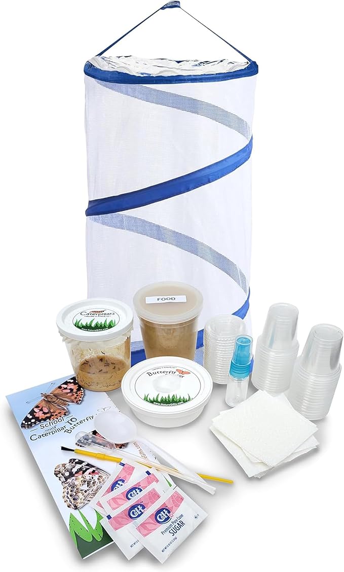 Nature Gifts Live Butterfly Kit - School-Sized Educational Experience with 32 Painted Lady Caterpillars - Pop-Up Cage, and Comprehensive Rearing Supplies for Classroom Engagement, 32 Small Cups