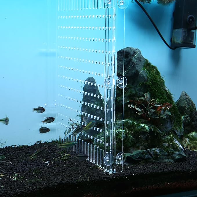 Aquarium Divider Clear 10/15/20 Gallon Fish Tank Divider with Suction Cups (10 Gallon)