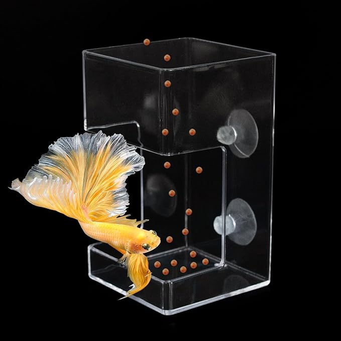 2 PCS Square Fish Feeder with Suction Cup Fish Tank Feed Tray Feeding Tube Supplies Breeder Box for Aquarium