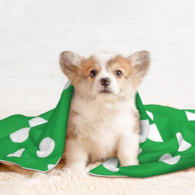 Waterproof Dog Blanket Soft Pet Blanket for Puppy Cat, Fleece Cat Throw Blankets for Furniture Bed Couch Sofa Reversible - Green and White Polka Dot
