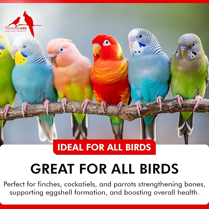 Morning Bird Thrive 1 Oz - Multi-Vitamin Bird Supplement Designed for Immune and Recovery Support - Formulated for Sick or Injured Birds - Protein Supplement and Energy Booster for All Adult Birds
