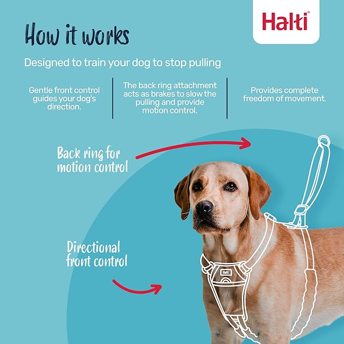 Halti No Pull Harness - Stop Your Dog Pulling on The Leash. Adjustable, Lightweight and Easy to Use. Reflective Dog Training Harness for Toy and Small Dogs (Size XS, Deep Walnut)