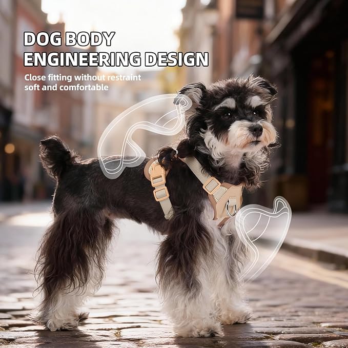 Small Dog Harness and Leash Set, Breathable Mesh Puppy Harness, Adjustable Dog Harness for Small Medium Large Dogs, No-Pull Pet Harness for Daily Walking (Faint Yellow, Medium)
