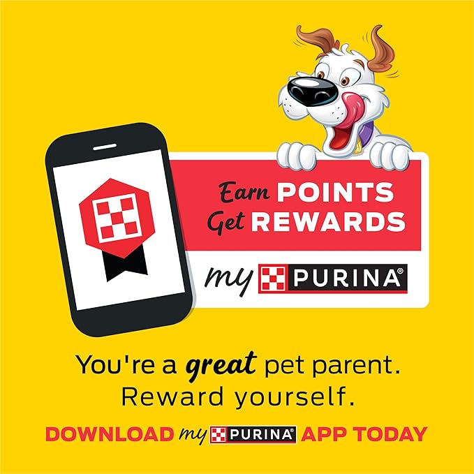 Purina Beggin' Strips With Real Meat Dog Treats With Bacon and Beef Flavors