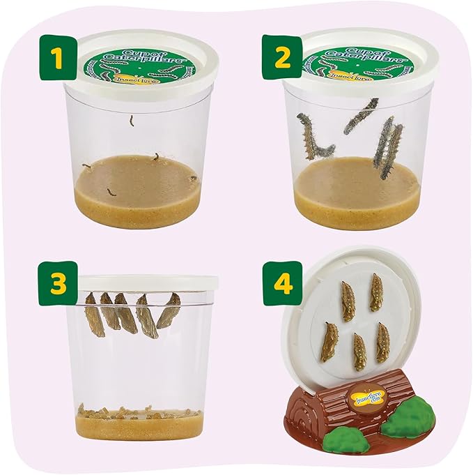 Insect Lore Butterfly Garden with 10 Live Baby Caterpillars - Habitat, Feeder, Chrys-A-Lid Holders, STEM Activity Journal - Raise and Release Painted Lady Butterflies
