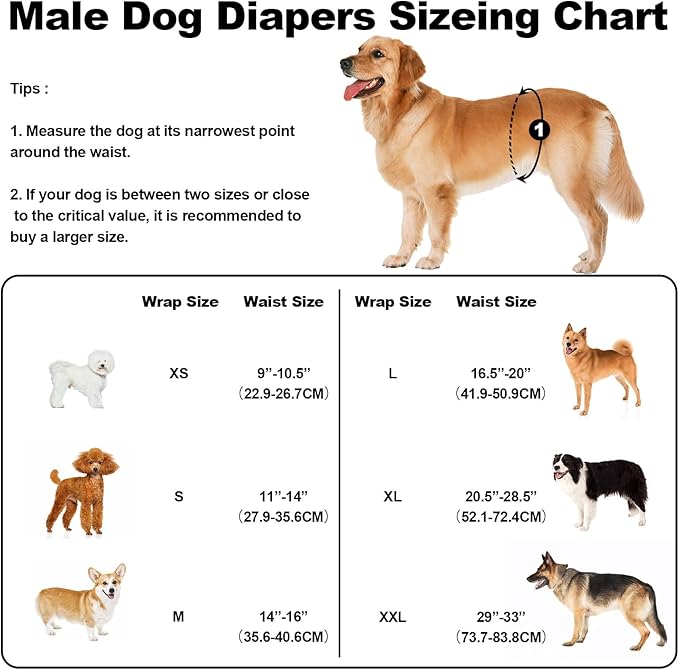 Washable Male Dog Diapers Reusable, Premium Dog Belly Bands for Male Dogs Medium, Pack of 3, High Absorbing Dog Pee Wraps for Doggie in Incontinence or Excitable Urination and Training(M)