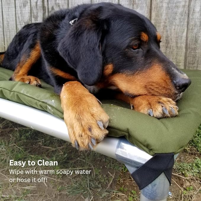 Kuranda Chewproof Elevated Pet Bed - Silver Aluminum - 30" x 20" - Sunsure Textilene - Birch