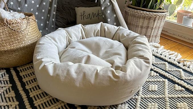 Organic Cotton Canvas Dog Bed: Removable Cover, Natural Fill - Made in USA (Natural, XX Large 50" x 8" inches)