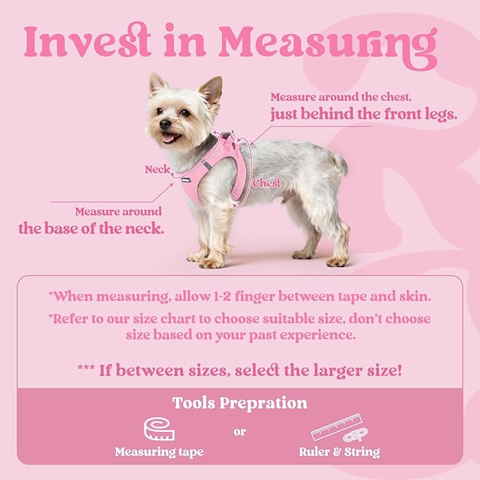 rabbitgoo Small Dog Harness, Step-in Soft Mesh Puppy Vest with Safety Buckle, Breathable Reflective Pet Harness for Extra Small Dogs, Light Pink XXXS