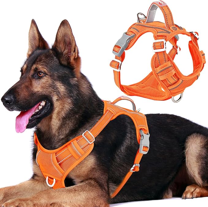 BARKBAY Dog Harness No Pull with ID Tag Pocket - Heavy Duty, Reflective, Easy Control for Large Dogs(Orange,XL)
