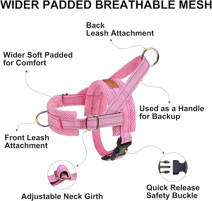 BEAUTYZOO Dog Harness Small Sized Dogs,2.0 Upgraded No Pull Front Adjustable Dog Harness and Leash Set,Escape Proof Soft Puppy Vest with Handle,Reflective Lightweight Step in Harness for Girl Boy Dogs
