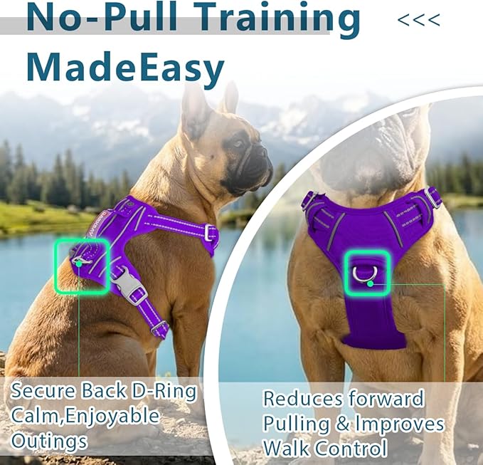 BARKBAY Dog Harness No Pull Oxford with ID Tag Pocket - Heavy Duty, Reflective, Easy Control for Large Dogs(Purple Oxford,XL)