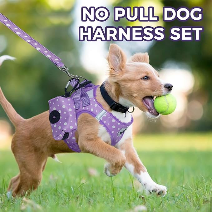 PAWCHIE Dog Harness and Leash Set, Step in No Pull Soft Pet Harness, Reflective Adjustable Puppy Vest for Small Medium Dogs Cats,No Choke Harness Vest with Poop Bag Holder for Walking,Running,Purple M