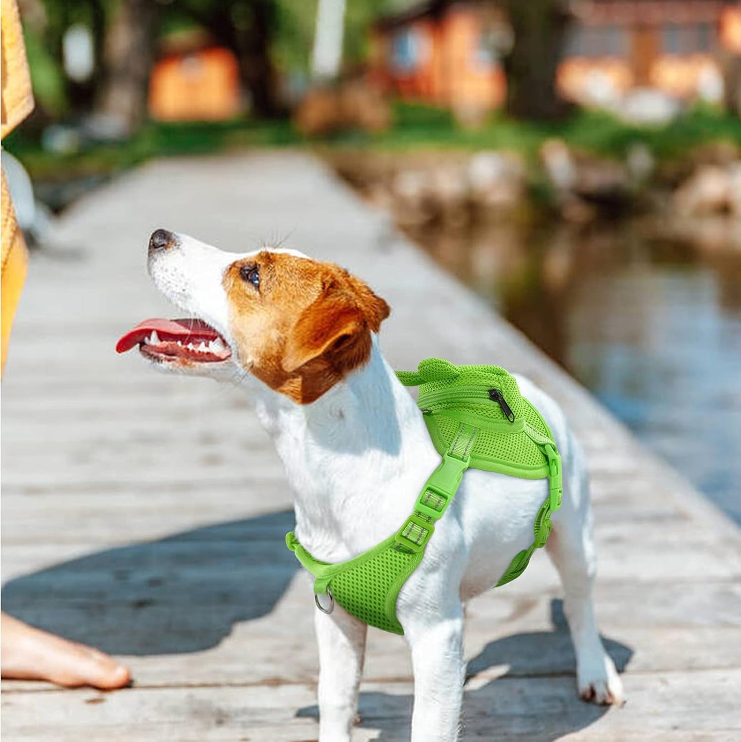 IDOMIK Dog Backpack Harness, No-Pull Dog Backpack with D-Ring for Small Medium Dogs, Cute Self Carrier Backpack for Dogs to Wear, Adjustable Doggy Backpacks for Traveling Camping Hiking, Frog, M