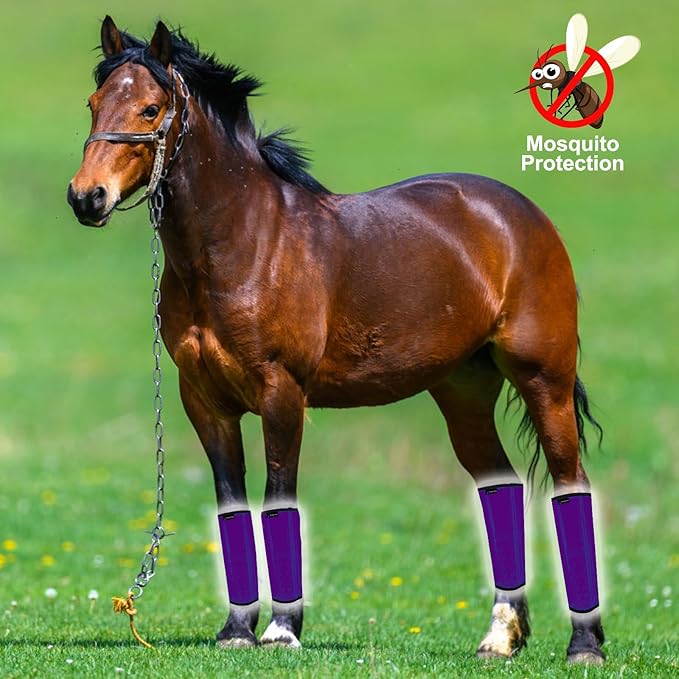 FOXLVDA Horse Fly Boots - Fly Boots for Horses Set of 4, Comfortable Horse Leggings, Mesh Material Design with Metal Support Bars for Reduces Stomping & Leg Fatigue (Purple, Medium)