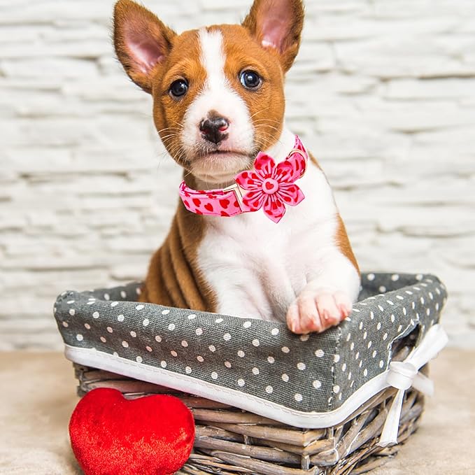 Lionheart glory Valentine's Day Dog Collar with Flower Dog Collar for X-Small Dogs, Soft Adjustable Hearts Dogs Collars Spring Pet Collars Flower Puppy
