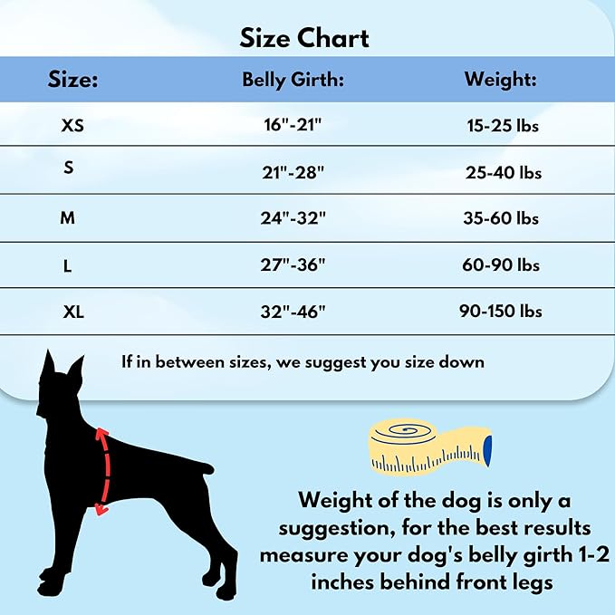 ShawnCo Dream Walk No-Pull Dog Harness- Adjustable, Comfortable, Easy to Use Pet Halter to Help Stop Pulling for Small, Medium and Large Dogs- Art Pattern Designs (White Sharks, M)