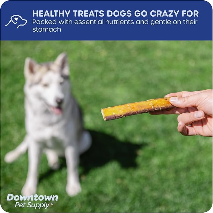 Downtown Pet Supply Jumbo Bully Sticks for Dogs - Natural Beef Chews, Low-Odor & Rawhide-Free, Long Lasting Dog Treats for Aggressive Chewers - Healthy, Safe & Delicious Chews Dogs Love (12" 24 Pack)
