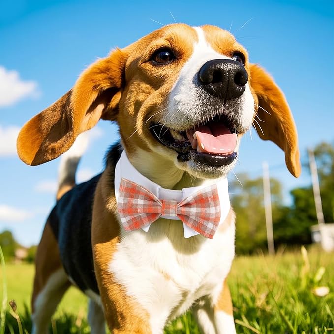 Segarty Dog Bow Tie, Adjustable Orange Plaid Bowtie Collar for Neck Girth 10.2-12.6in, Medium Dog Tie Tuxedo Comfortable Cotton Boy Pets Grooming Accessories for Formal Wedding Holiday Birthday Party