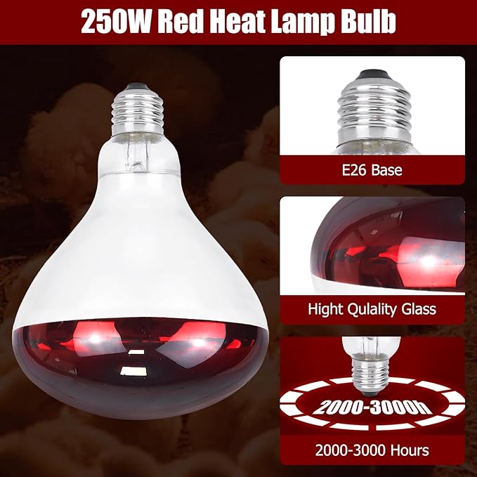 250W Infrared Heat Lamp for Chicken, Red Heat Light Bulb R125 2 Pack, Heat Lamp Bulb for Chick Croop, Reptiles, Pets, Food
