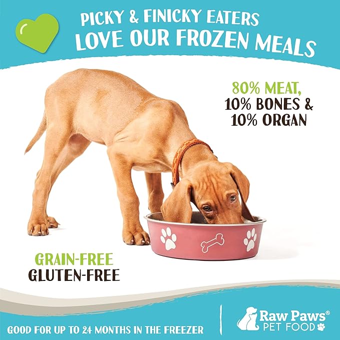 Raw Paws Signature Blend Pet Food for Dogs & Cats - Beef Recipe, 1-lb Rolls (10-Count) - Fresh Pet Food Made in USA, Grass-Fed Beef Log, Natural Dog Food Rolls, Raw Frozen Dog Food & Cat Food