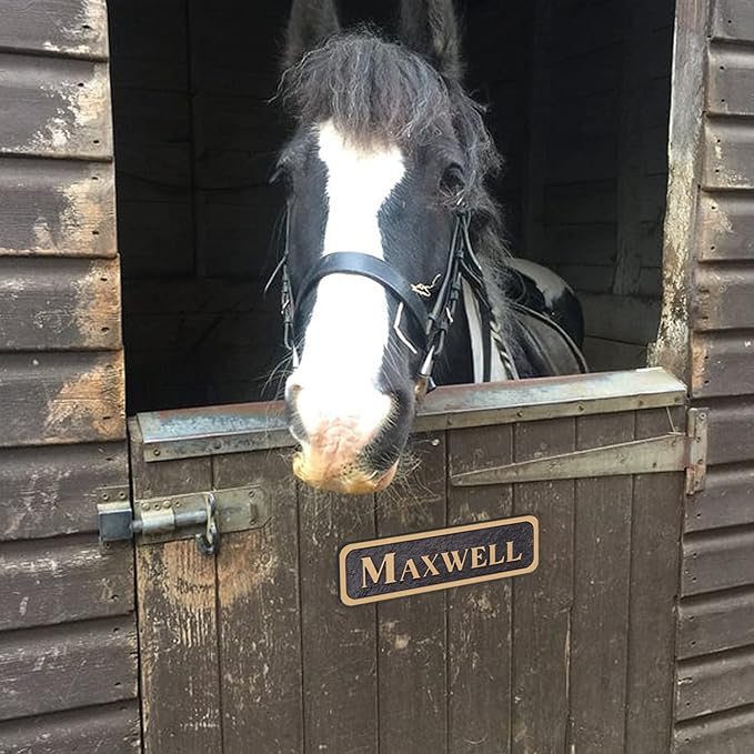 Acrylic Horse Stall Name Plate, 2.4" x 8" Personalized Stall Signs, UV Protected, Custom Pet Name Sign, All Weather Adhesive, Mounting (Rose Gold, Style 3)