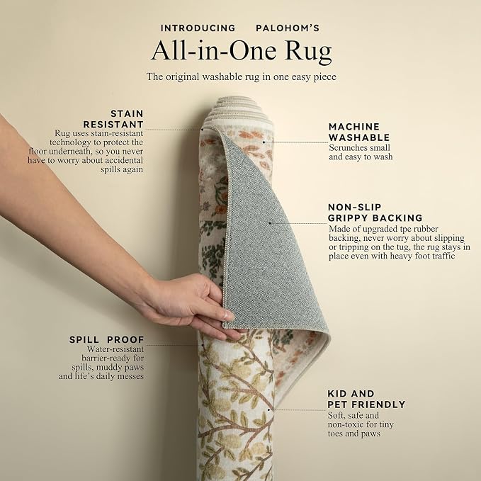 Machine Washable Small Rugs for Entryway: 2x3 Throw Kitchen Rug Door Mat Indoor