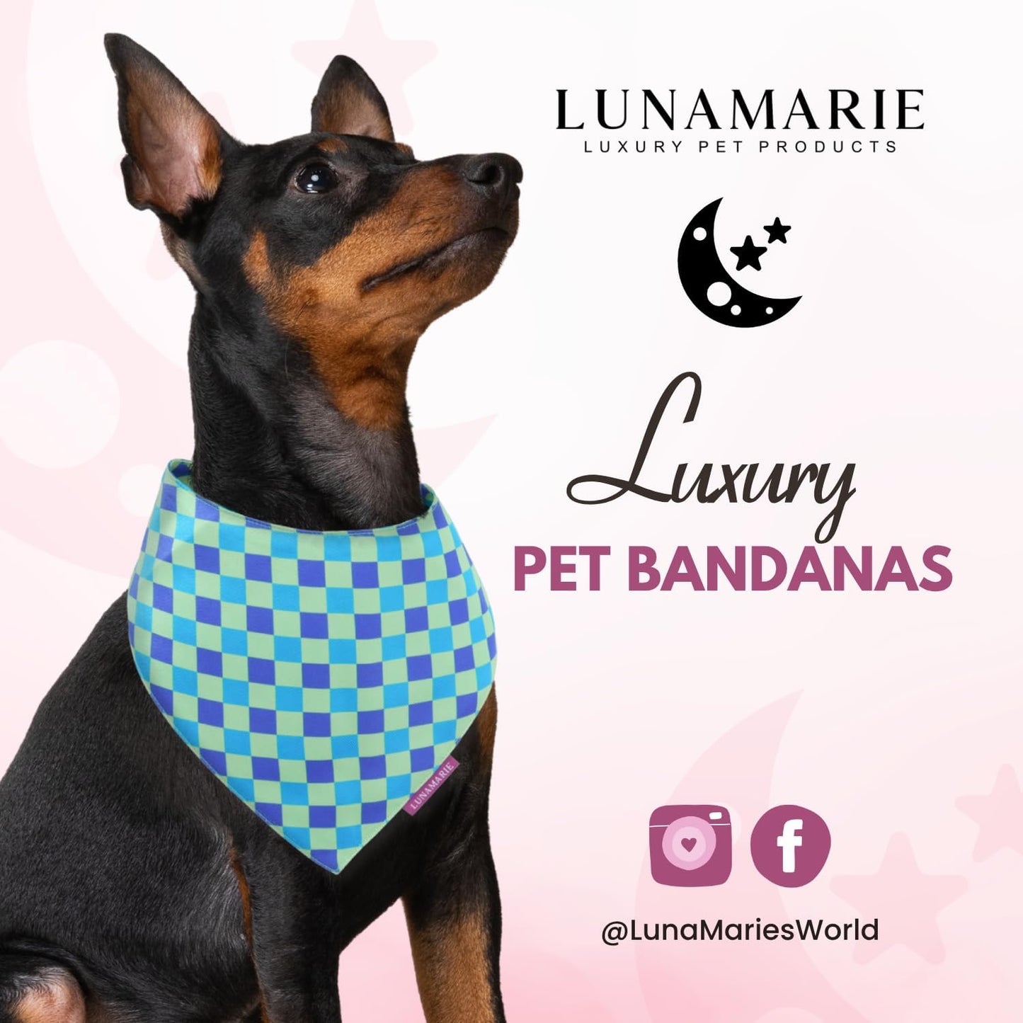 LunaMarie - Luxury Pet Birthday Bandanas -Premium & Silky Poly Fabric | 100% Handmade | Custom Shape Dual Layered (Electric Rebel, Medium)
