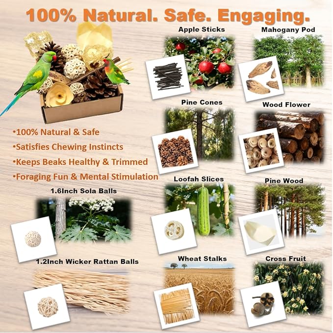 Bird Toys - Sola Ball Foraging Box, 10 Natural Ingredients | Chewing and Shredding Parrot Toys | Ideal for Parakeets/Cockatiels/Conures/Lovebirds and Small to Medium Birds