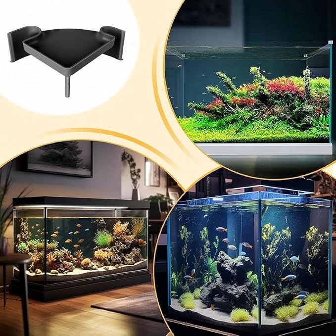 Aquarium Cave Hideout with Viewing Window – Corner Fish Tank Tunnel for Pleco, Cory Catfish, Kuhli Loach, Shrimp & Betta – 2 Hole Plastic Breeding Shelter for Bottom Dwellers (6"x6"x2.5")