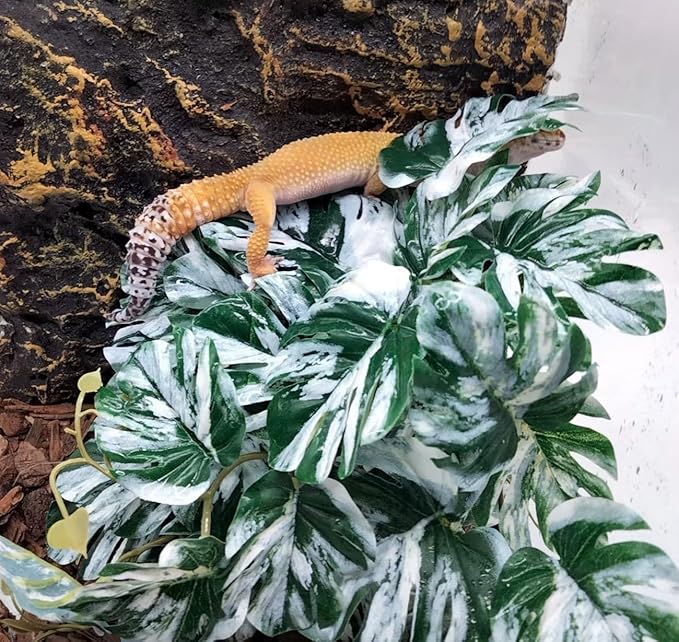 Reptile Fake Plants for Terrarium Artificial Tank Decor Accessories Suitable for Bearded Dragon Ball Python Crested Leopard Gecko Lizard Chameleon Snake-Monstera