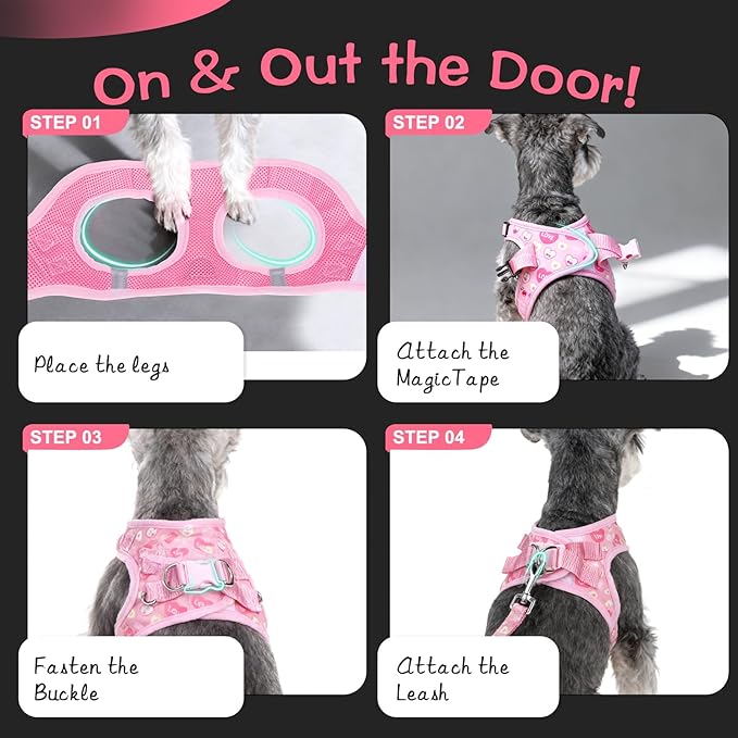 EXPAWLORER Small Dog Valentines Harness and Leash Set - Cute Puppy Harness Leash Dog Collar with AirTag Holder Silicone Case, Soft Padded Step in Pet Vest Reflective for Outdoor Walking, Heart M