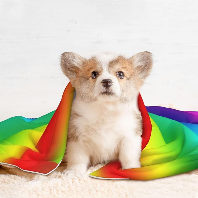 Dog and Cat Blanket in One, Colorful, Double Sided Plush Throw with Raised Dot Pattern on One Side and Flat Velvet on Other for Variety
