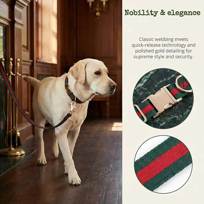 Premium Dog Collar, Cute Dog Collars Luxury Style, Durable Pet Collars and Dog Leash with Metal Buckle Safety for Medium Dogs