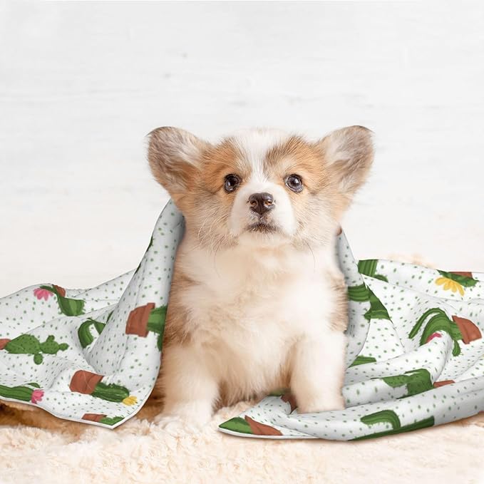 Double Sided Plush Pet Blanket for Small Large Animals, Cactus Floral Bloom Flower Summer Tropical Watercolor, Reversible Throw with Dimpled Dot Side and Flat Side for Kennels Living Rooms