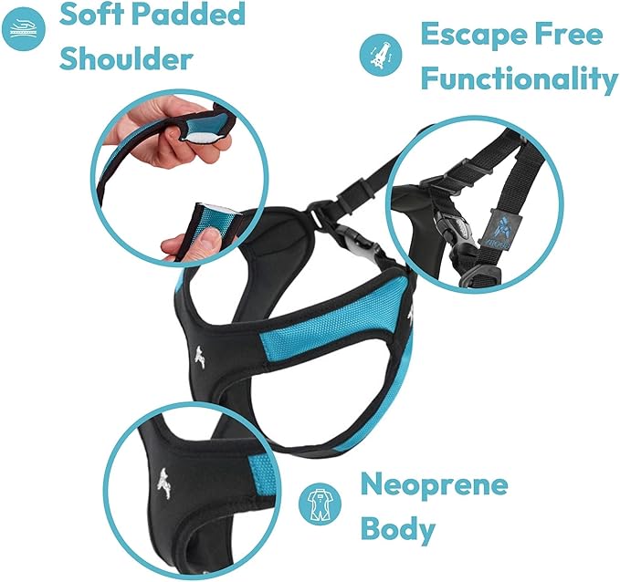 Gooby - Escape Free Easy Fit Harness, Small Dog Step-In Harness for Dogs that Like to Escape Their Harness, Blue, X-Small