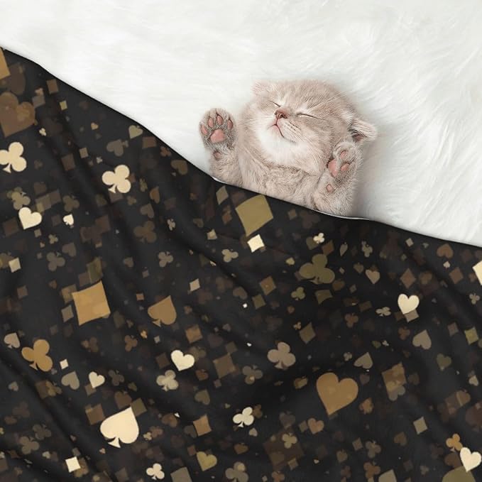 Casino Print Soft Plush Pet Blanket, Washable Dog Blanket, Cat Fleece Throw, Puppy Bed Crate Mat & Sofa Couch Protector - Medium