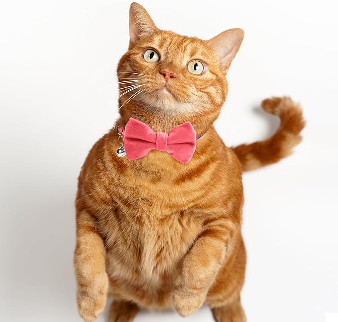 Sliverdew 2 Pcs Safety Cat Collar with Bell Breakaway Bow Tie Cat Collar Adjustable Velvet Kitten Collars Small Puppy Bowtie Collar for Wedding Birthday Party