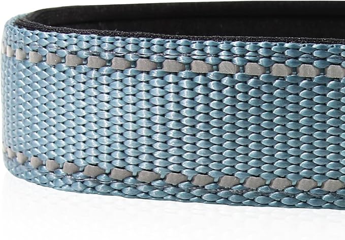 Joytale Reflective Dog Collar, Soft Neoprene Padded, Metal D-Ring, Nylon Pet Collar Adjustable for Medium Dogs, Gray, M