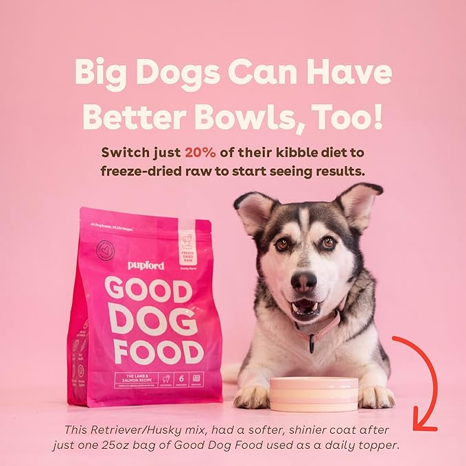 Pupford Good Dog Food, Freeze-Dried Raw, High-Protein, Superfood Ingredients, Vet-Approved, No Fillers or Artificial Additives (Chicken Recipe, 16 oz)