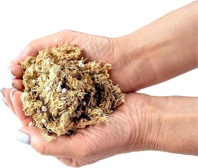 Gardenera Premium Albuca Spiralis Potting Soil Mix - Perfect Balance of Nutrients, Drainage, and Aeration for Thriving Blooms - 1 Quart