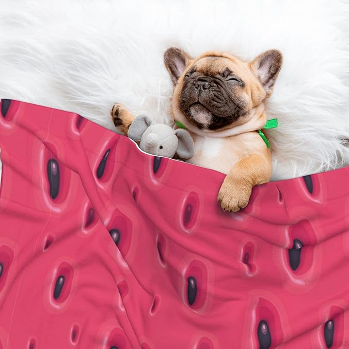 Double Sided Plush Pet Blanket with Cozy Dot Texture and Smooth Reverse, Pink Watermelon, Reversible Throw for Dogs Cats on Couches Beds Crates
