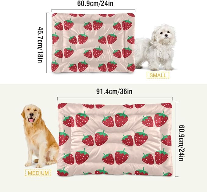 Strawberry Fruit Pet Bed Cute Dog Bed Mat Absorbing Non Slip Pad Pet Sleeping Mat for Small, Medium, and Large Dogs Puppy Cat 24 in x 18 in