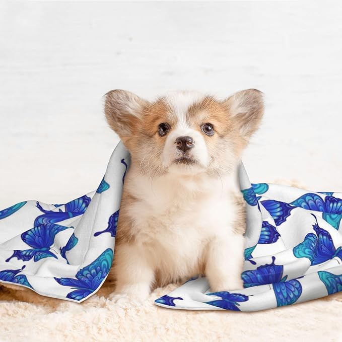 Double Sided Pet Throw for Dogs Who Shed, Butterflies Blue Purple, Reversible Blanket with Nubby Dot Side Catches Loose Fur for Easier Furniture Cleanup