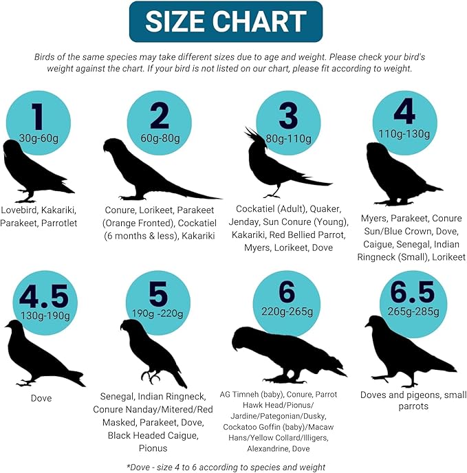 Bev's Bird Boutique Regular Flyper Adjustable Bird Diaper | Reusable, Washable Cloth | Comfort Fit for Parrot, Cockatiels, & Other Small Birds | Fashionable Avian Accessories, Pirate, Size 6