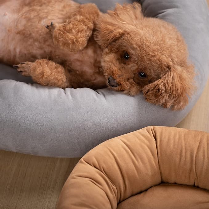 KASENTEX Round Dog Bed - Medium Dog Donut Bed, Anti-Slip, Machine Washable (Brown, 23x23 Inches)