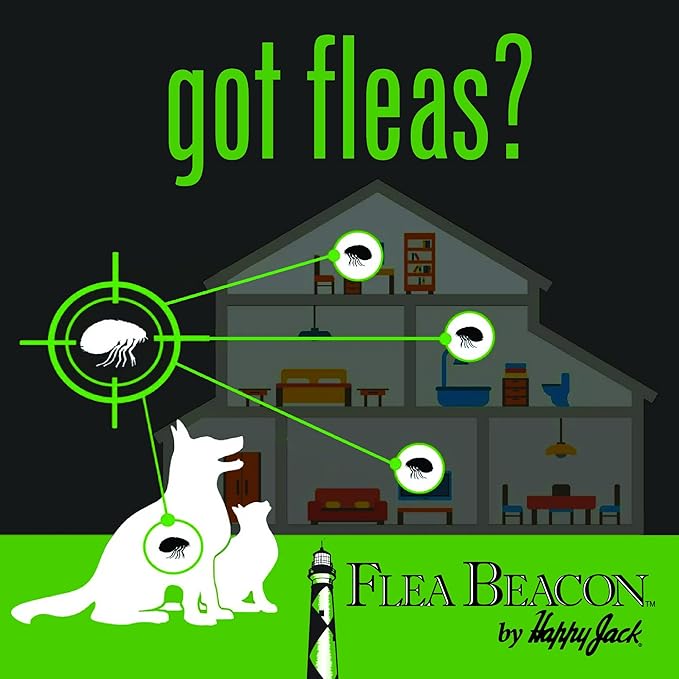 Happy Jack Flea Beacon Kill Fleas in House, Attracts, Traps Indoor Bugs, Breaks Breeding Cycle Before Adults Lay Eggs, Safe, Fast, & Clean Way to Get Rid of Indoor Pests, Made in USA