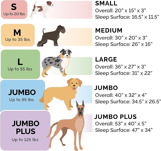 Furhaven Orthopedic Dog Bed for Large Dogs w/ Removable Bolsters & Washable Cover, For Dogs Up to 125 lbs - Plush & Velvet Waves Perfect Comfort Sofa - Celadon Green, Jumbo Plus/XXL