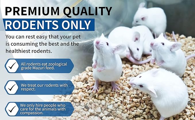 MiceDirect Frozen Rat Jumbo Feeder Snake Food for Burmese Pythons, & Large Monitors (5 Count)